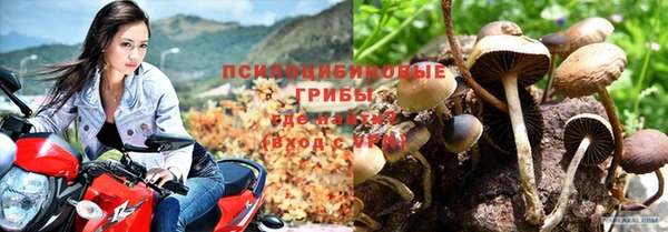 ECSTASY Медногорск